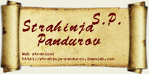 Strahinja Pandurov vizit kartica